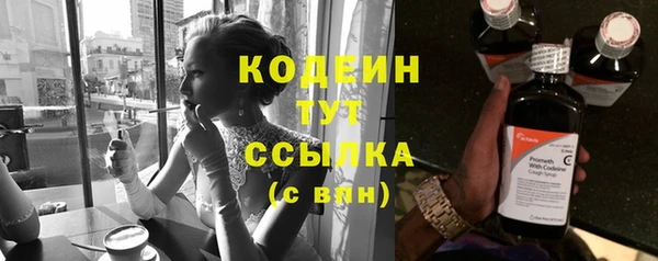 индика Гусь-Хрустальный