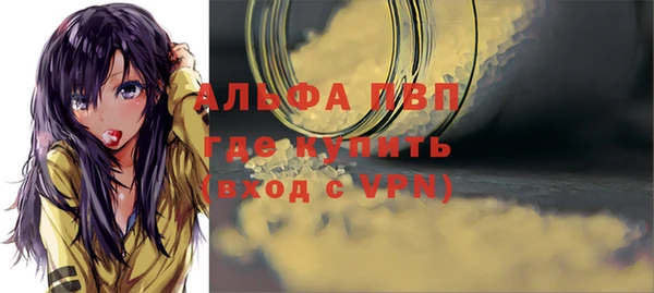 индика Гусь-Хрустальный