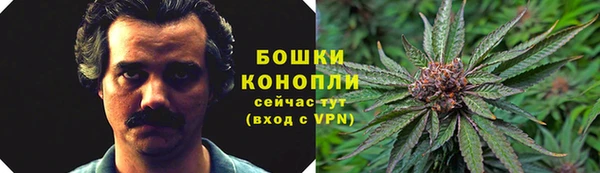 ПСИЛОЦИБИНОВЫЕ ГРИБЫ Гусиноозёрск
