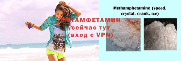 индика Гусь-Хрустальный