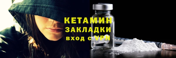 индика Гусь-Хрустальный