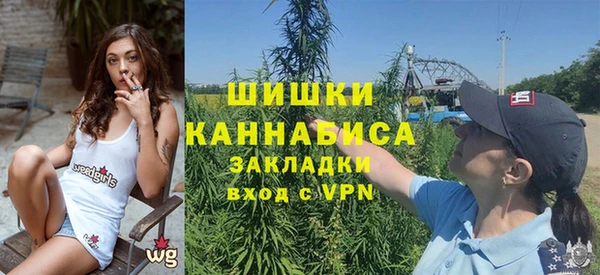 ПСИЛОЦИБИНОВЫЕ ГРИБЫ Гусиноозёрск