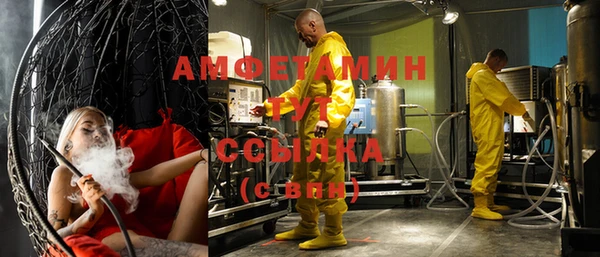 индика Гусь-Хрустальный