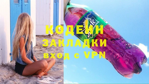 индика Гусь-Хрустальный
