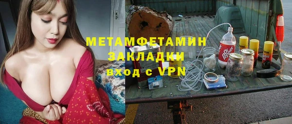 индика Гусь-Хрустальный