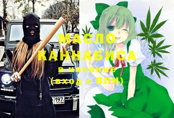индика Гусь-Хрустальный