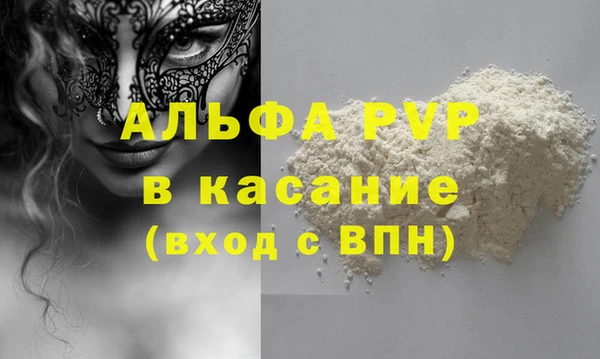 индика Гусь-Хрустальный