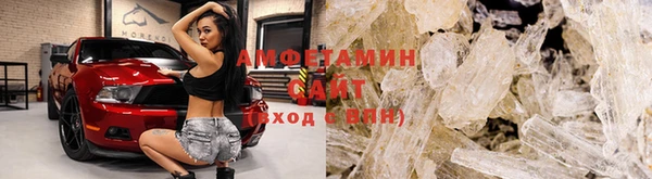 индика Гусь-Хрустальный