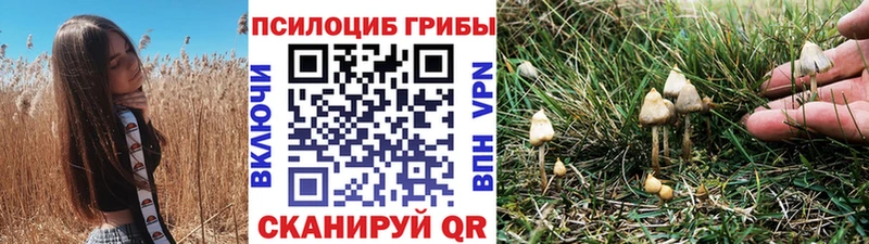 Галлюциногенные грибы мухоморы  Купить  Владимир 